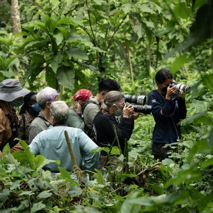 Private Guided Safari Experience